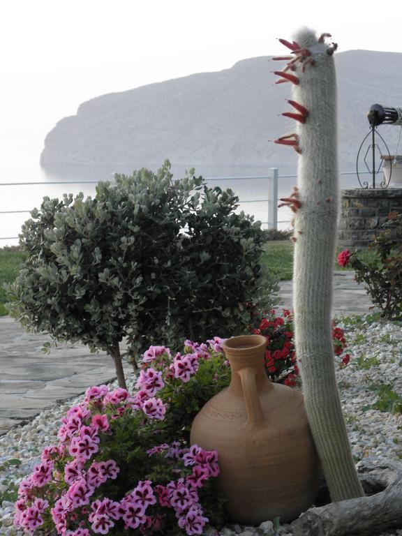 Villa Tholos Crete Καβούσι Εξωτερικό φωτογραφία