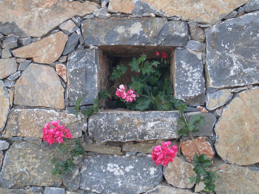 Villa Tholos Crete Καβούσι Εξωτερικό φωτογραφία